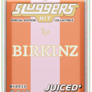 Sluggers Hit Birkinz Pre Roll