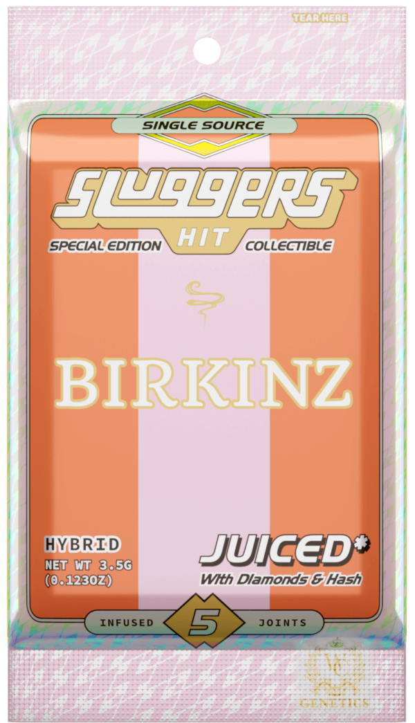 Sluggers Hit Birkinz Pre Roll
